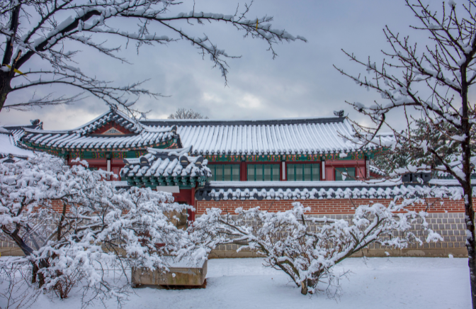 Website Thumbnails (1).png