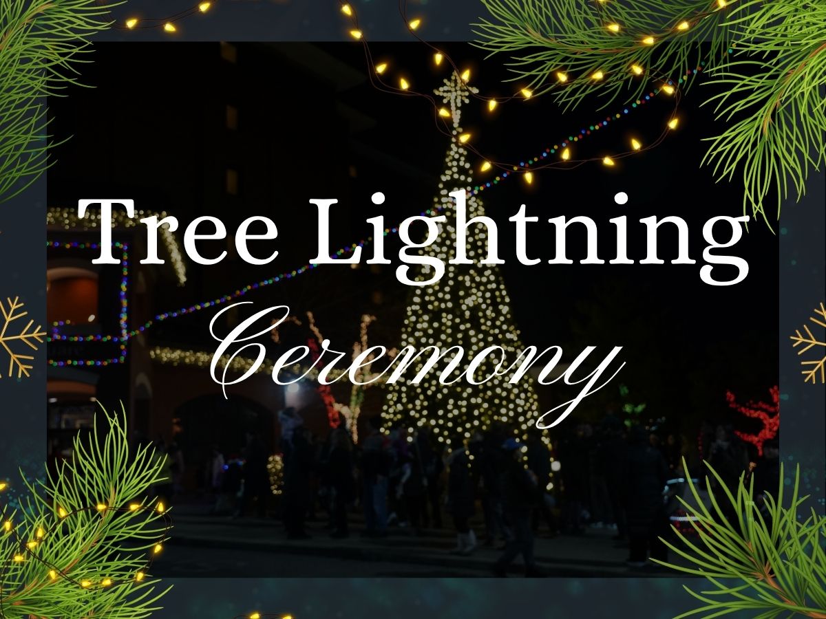 Tree Lighting header.jpg