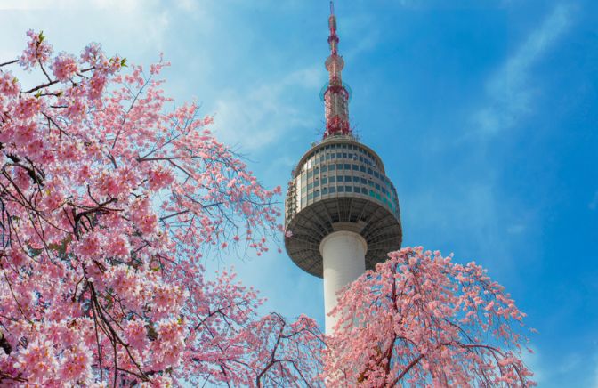 Website Thumbnails (2).jpg