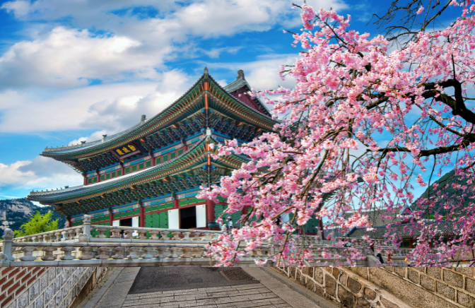 Website Thumbnails.png